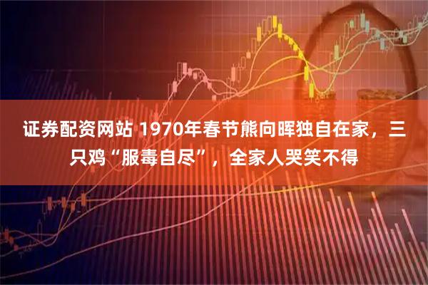 证券配资网站 1970年春节熊向晖独自在家，三只鸡“服毒自尽”，全家人哭笑不得